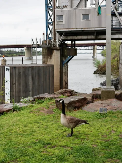 🇺🇸 Travel Journal / Surprisingly Sweet Little Rock！！！🧡