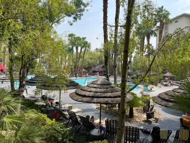 A Peaceful Oasis in Las Vegas 🌴✨