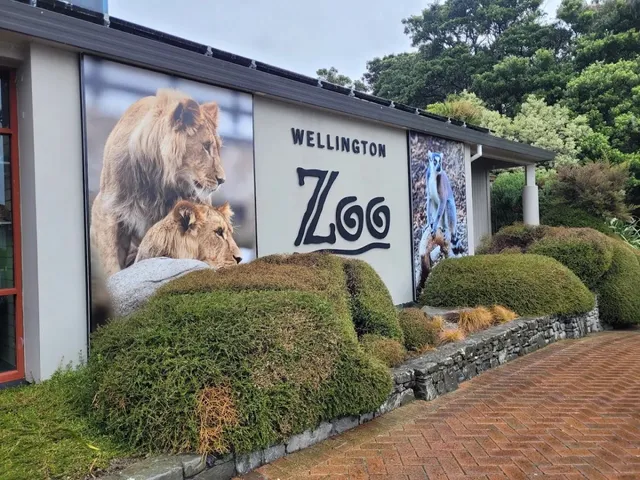 Wellington Must-Visit Attractions Guide | New Zealand's Windy Capital