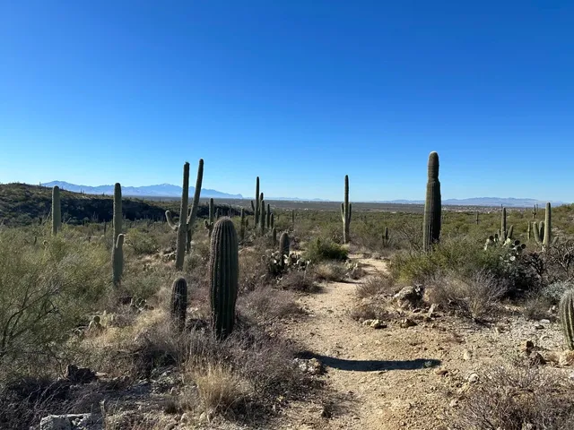 "National 'Layover' Tour: Arizona (Part 1) ✈️🌵"