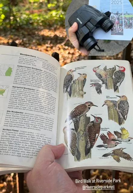 🐦 NYC | Riverside Park Bird Walk Adventure! 🌳