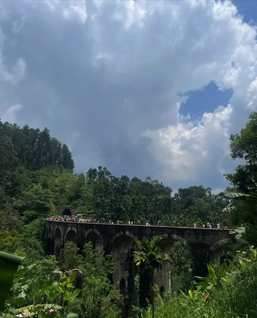 Firsthand Experience | Sri Lanka Tea Plantation Train 