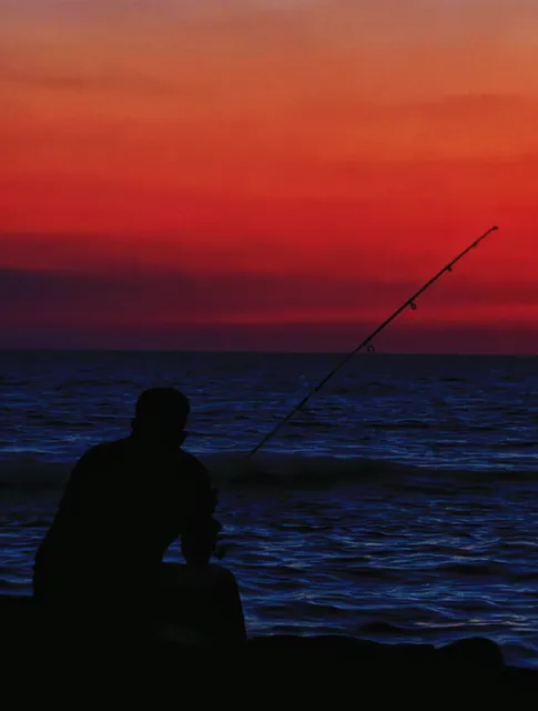 Sri Lanka Free Travel: Essential Dos & Don’ts ✨