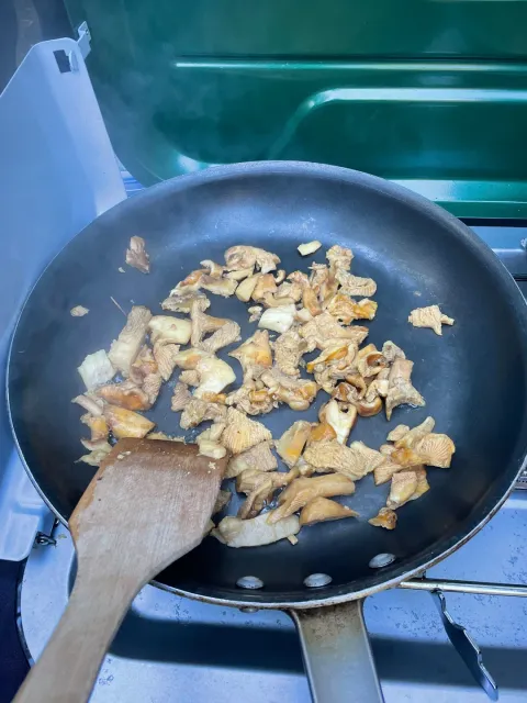 🍄 An Unforgettable Experience! 🍄