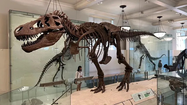 American Museum of Natural History (1)