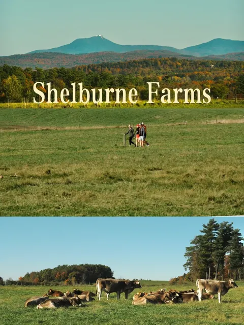 Vermont🌾｜Hidden Gem Farm: Free Nature & Crafts Experience 