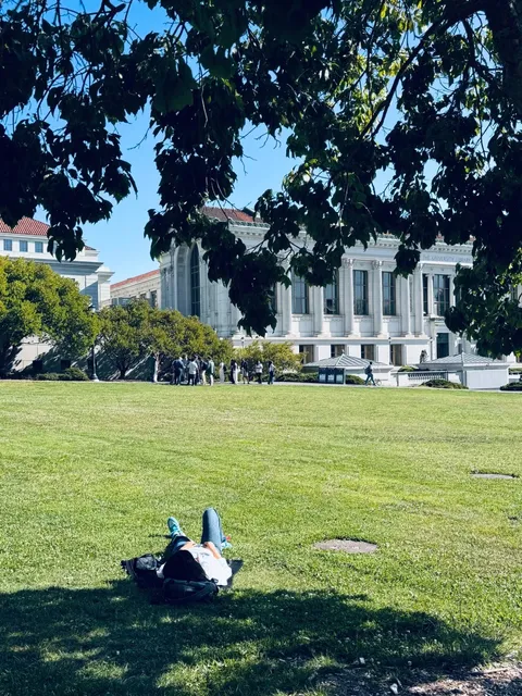 Berkeley Summer Life｜Ancient Trees, Sunshine & Libraries