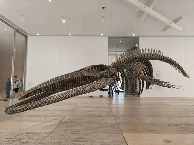 Mexico City Must-Visit: Jumex Museum of Contemporary Art 🎨🔥