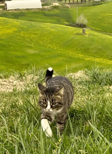 Near Prado, close to nature.