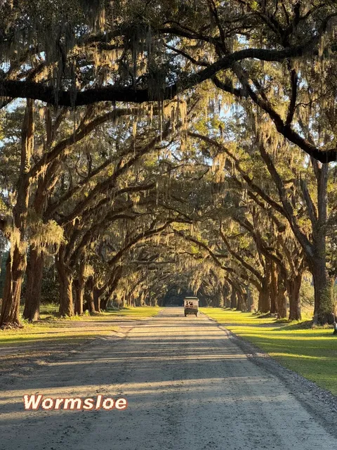 Savannah Thanksgiving Travel Journal 🦃