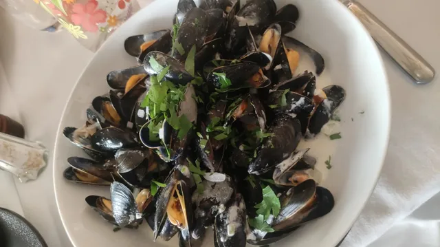 🇫🇷 Cannes Travel Guide | French Riviera Escape