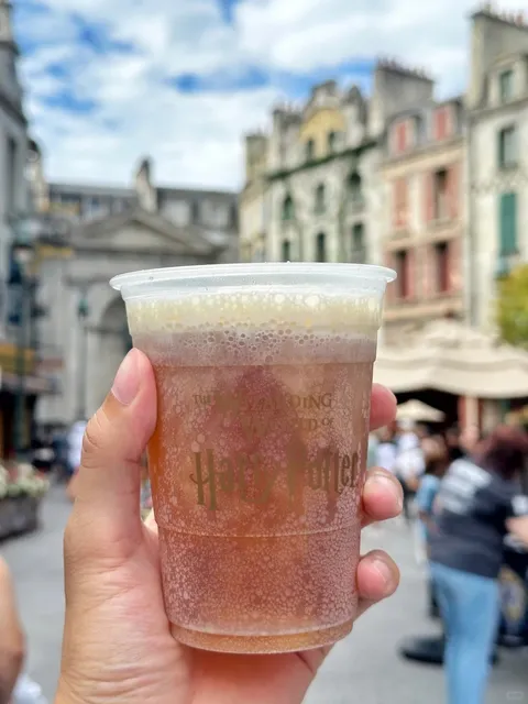 Orlando Universal Studios 2-Day, 3-Park Guide (Part 2) 🎢