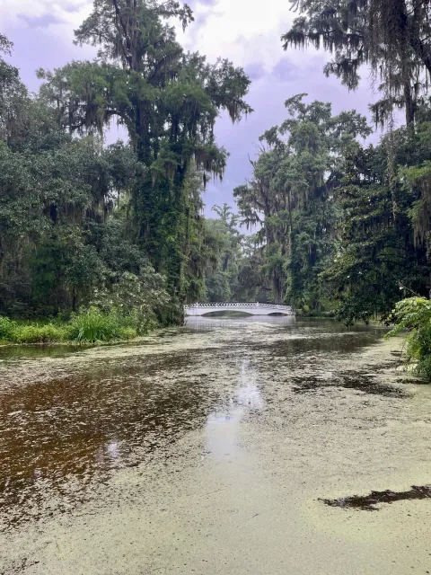 Loved the Experience – Even in the Rain! 🌧️💚