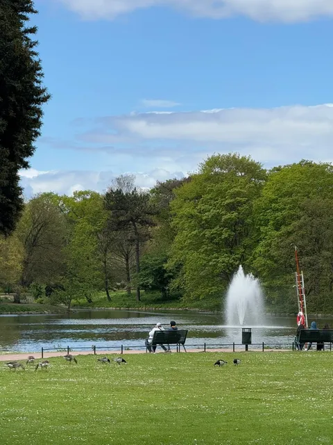 🇸🇪 Malmö, Sweden – A Hidden Gem of Slow Living & Canine Charm 🐕🌿