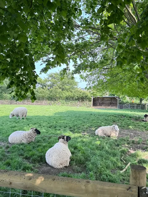 London Weekend Getaway — Mudchute Park & Farm