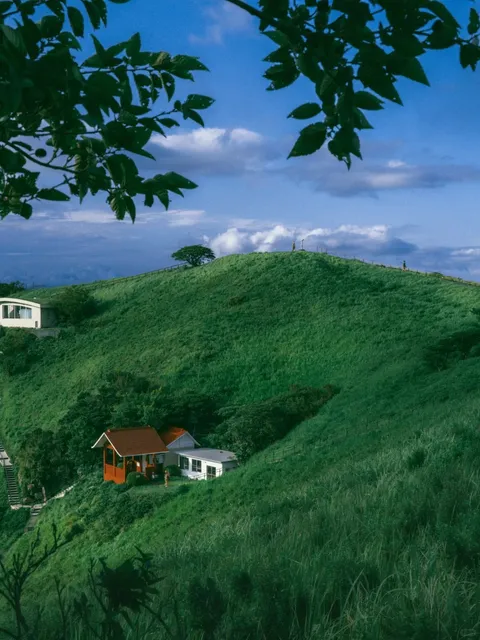 Mount Omuro (Izu National Park) 🌿