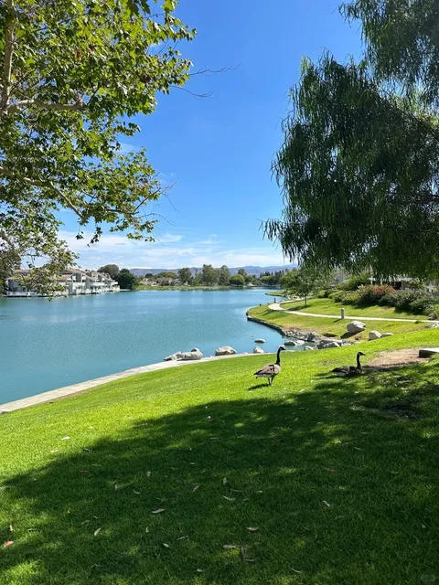 North Lake Trail in Irvine: A Mini Swiss Escape with Stunning Views! 
