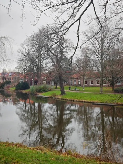 Here’s your detailed Haarlem Citywalk route with honest tips 