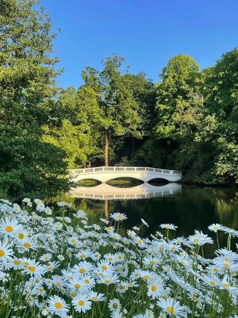 🇬🇧 North London Suburbs! 🦋 Free Butterfly House!  