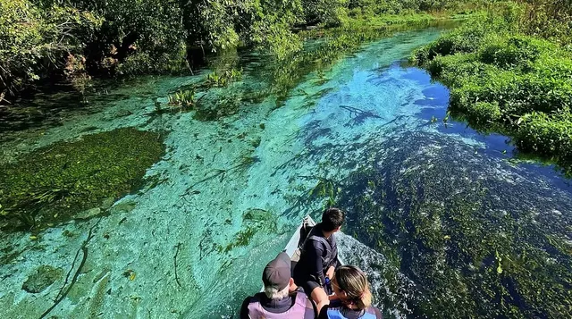 Bonito's Natural "Giant Aquarium"