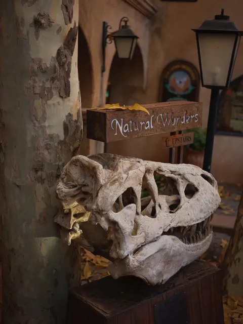 Unlocking the Mystical Energy Vortexes in Sedona, the Aura Town 🌵✨