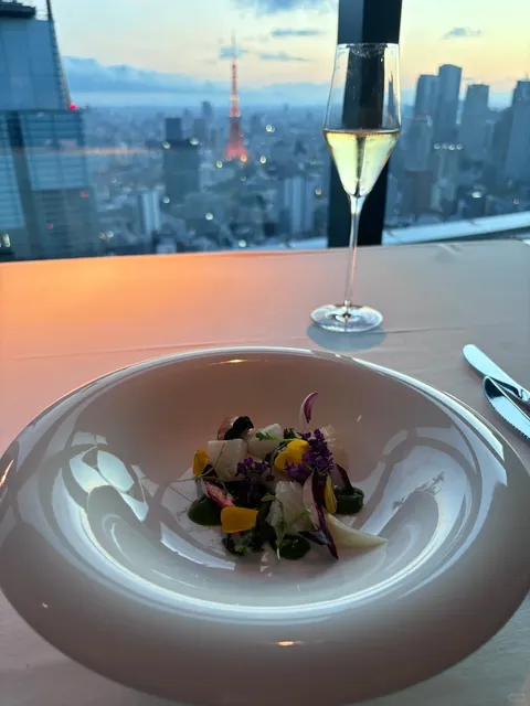 A French Dining Date Facing Tokyo Tower Directly 🌑