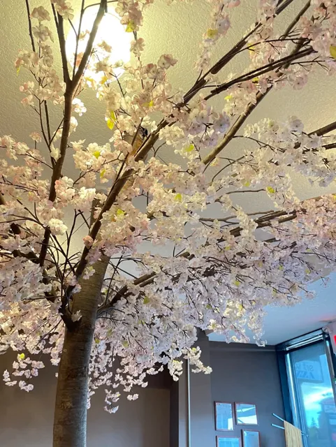 Must-Try Japanese Curry Katsu in Calgary! 🍛🔥