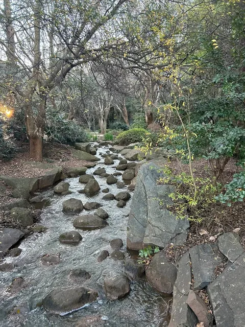 Dreaming in Toowoomba: Australia's Hidden Gem 🌿💤