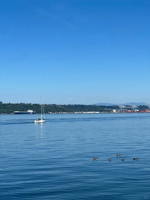 Tacoma Day Trip 🚗💨