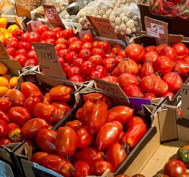 🇪🇪 Why Did No One Tell Me Tallinn Was This Beautiful?🌷