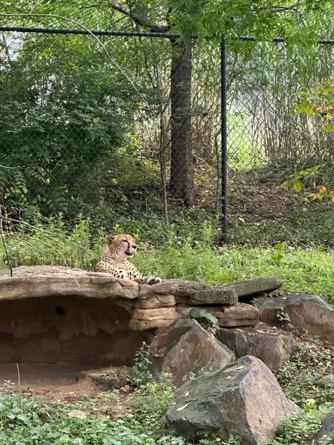 🇺🇸 Baltimore Zoo Recommendation – Maryland Zoo! 🦁🐧