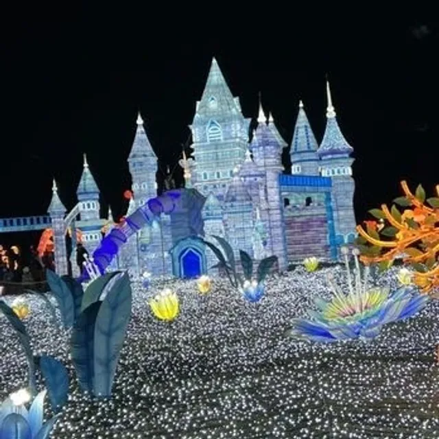 Who Hasn‘t Been Speechless by Long Island’s Dazzling Light Show? 😭