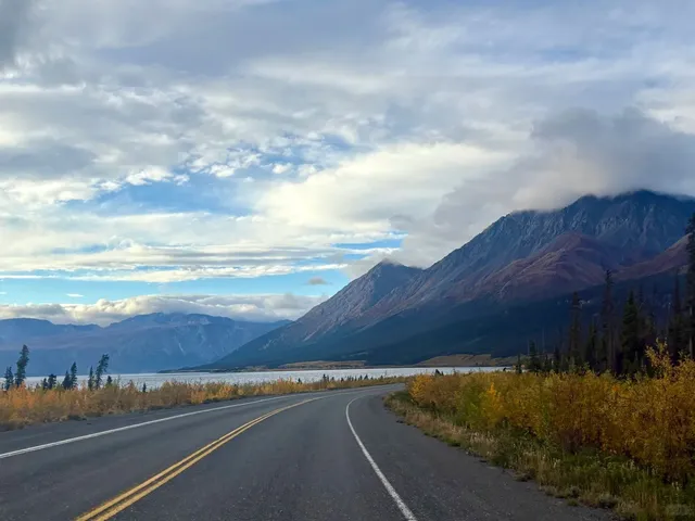 A Road Trip Through Nature's Golden Canvas 