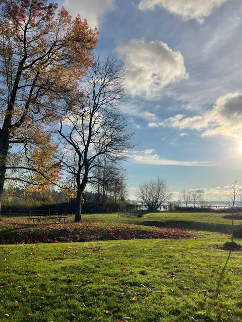 Seattle Thanksgiving 💛