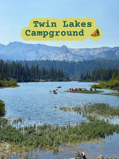 California Highway 395 Camping｜Another Close Bear Encounter! 🐾