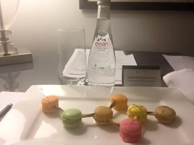 Amazing Miami! 🌟✨