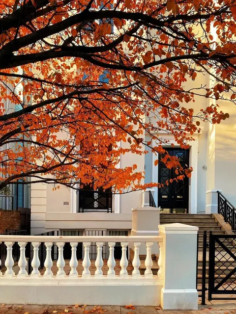 🇨🇦 London, Canada Travel Guide