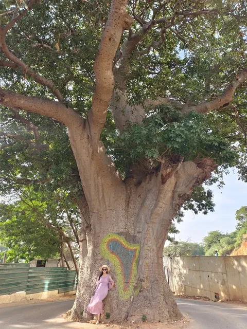 Dakar, Senegal 🇸🇳 | Half-Day Private Car Tour (Cruise Stop Guide!)