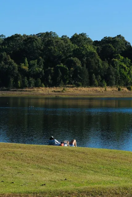Brisbane | Joyner Park in July is Perfect for an Outing 🐨​
