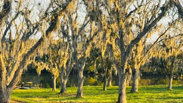 Perfect Weekend Escape