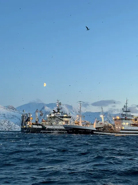 🇳🇴 Norway Road Trip Hacks: Save Money & Avoid Pitfalls!