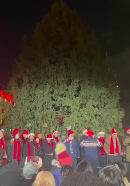 New York Exploration: Seaport Christmas Tree Lighting 🎄✨