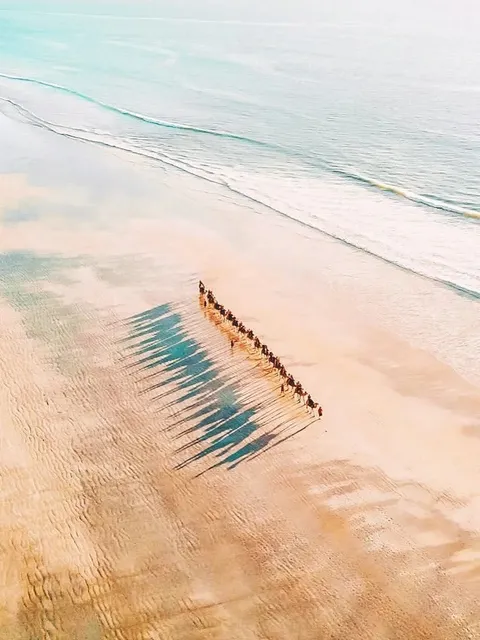 🏞️ Adventure & Outdoor Activities