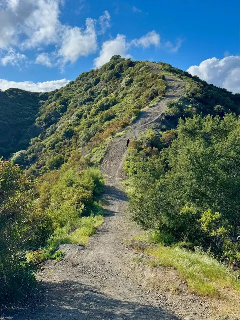 🇺🇸 Tiger Tail Trail ~ LA Hiking Adventure 🥾✨  