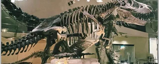 🧳 Tokyo Museum Roundup(1) 🗼