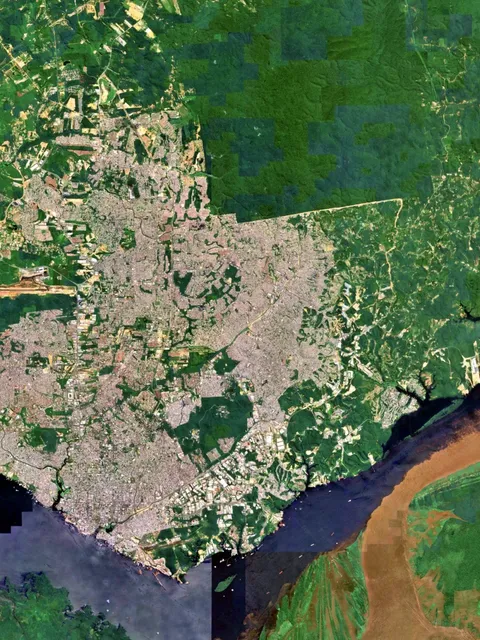  The Enchanting Dance of Jungle & City: Manaus & the Amazon Rainforest