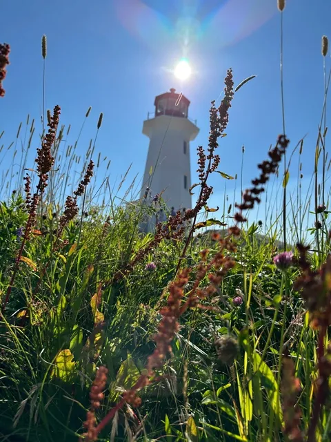 🌿 Halifax Travel: Peggy's Cove 🏞️