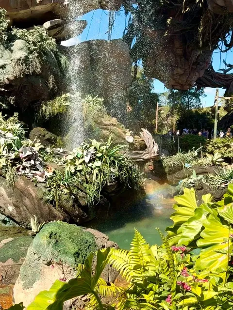  🇺🇸 Orlando Disney 2nd Stop: Animal Kingdom One-Day Guide 🦩