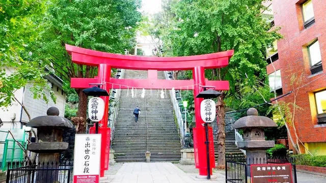 Tokyo Atago Shrine: Thousand - Day Pilgrimage and Hozuki Festival(1)