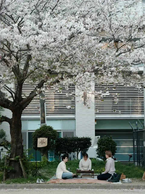 Osaka | Wild Tea Party | Horie Park Evening Outing 🍵